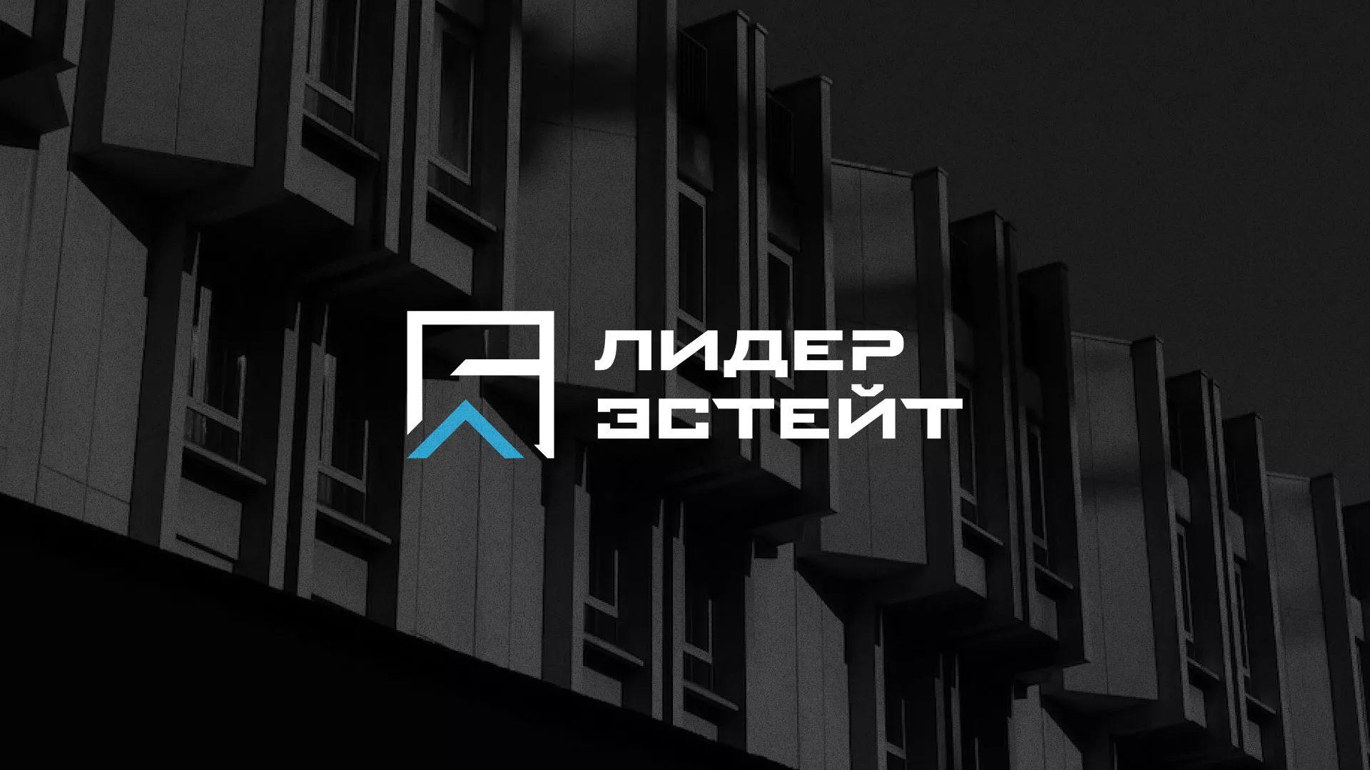Разработка логотипа агентства недвижимости «Лидер Эстейт» в Серафимовиче
